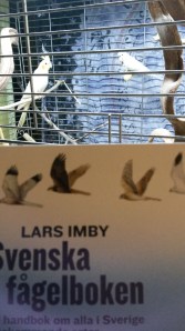 Svenska fågelboken i fågelsällskap